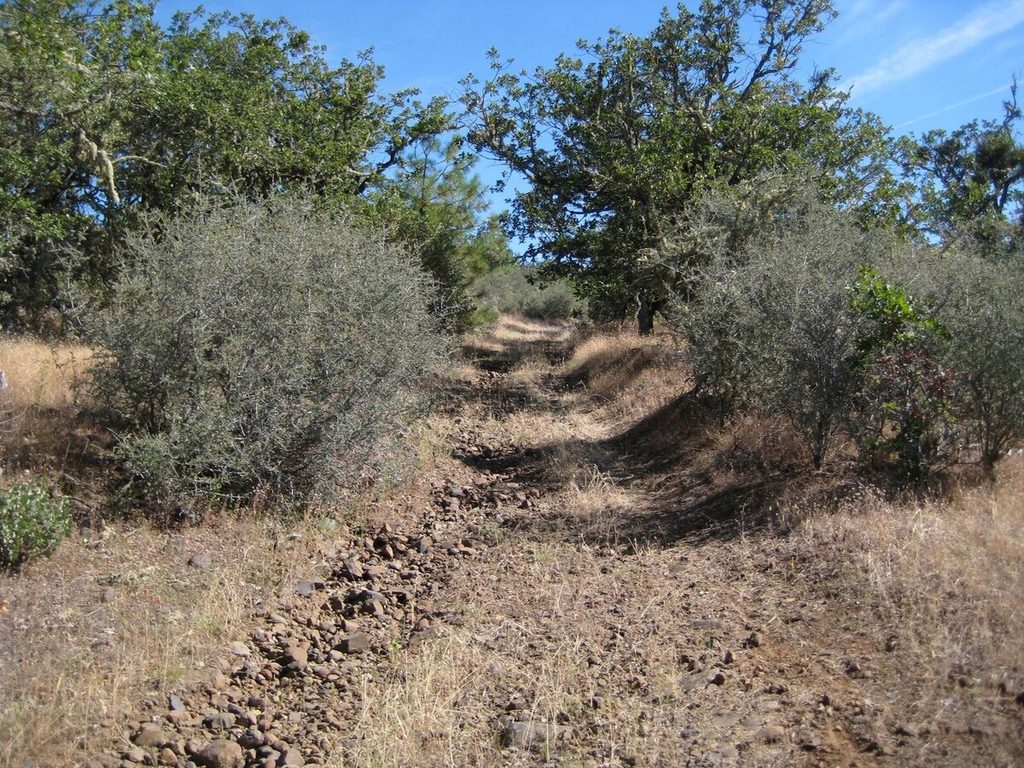 Old wagon road section of Obenchain, after the creekbed hike.