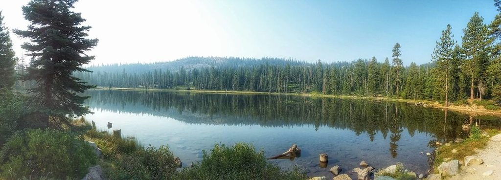 Gumboot is a pretty little lake. I was almost attacked by a little Shih Tzu there, but lucky for me its owner was nearby!