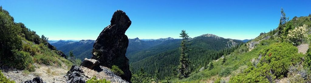 15-cock-rock