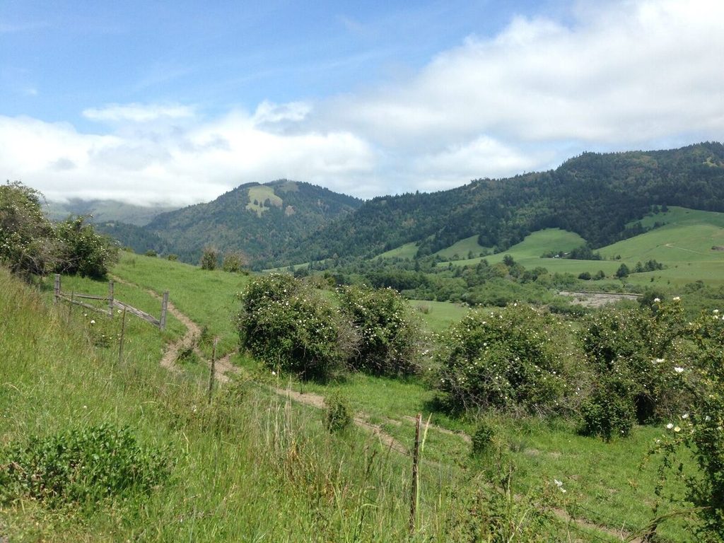 Cow pastures, cow trails.