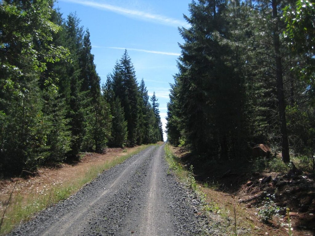 Old railroad grade road near Butte Falls.