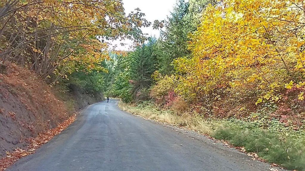 The leaves have definitely started changing color. It was a crisp morning made warm by the struggle to stay upright while going up one of the steeper roads around the Valley. Here, Shawn is pulling ahead and showing how it's supposed to be done.
