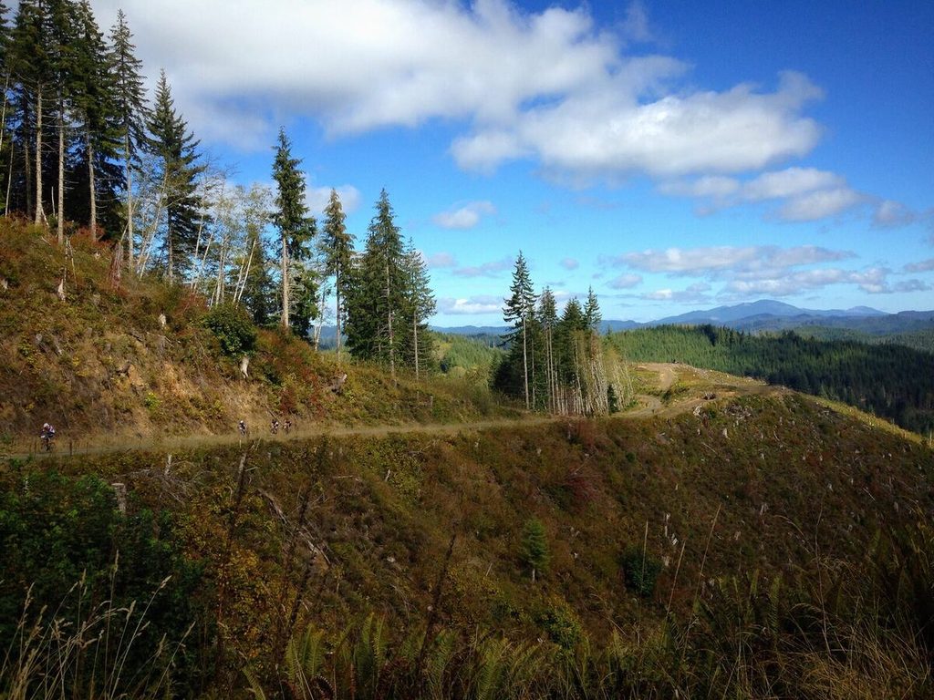 A gravel road cutting across a logged hillside, with mountains in the distance