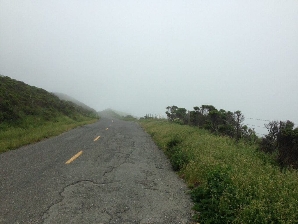 Up into the fog.