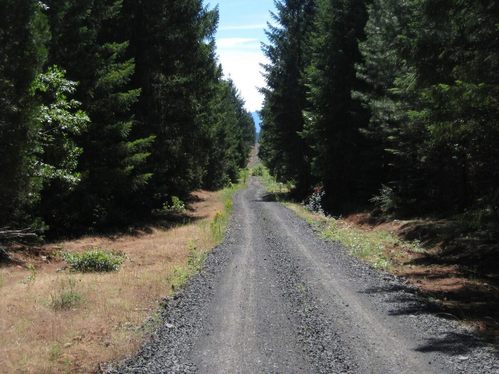 Railroad grade road near Butte Falls.