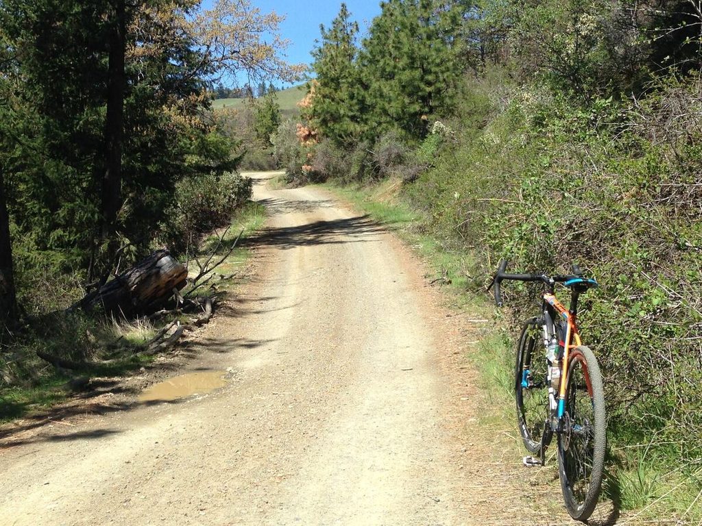 Nearing the top of another climb.
