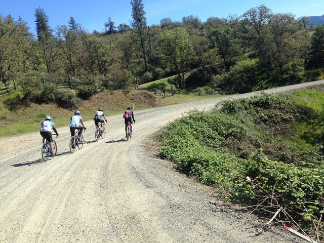 Riders round a bend on a gravel road through oak-covered hills.