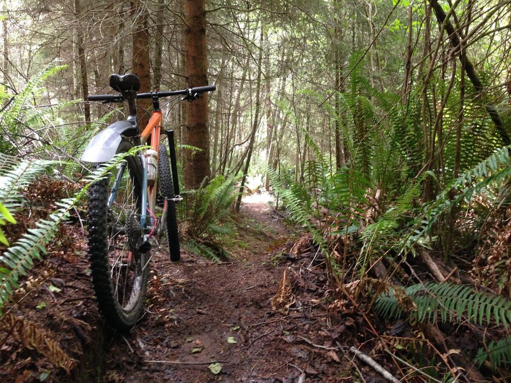 Bike Leaning on Tree.