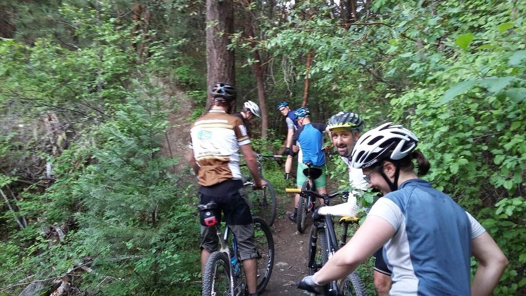 A group of mountain bikers stopped on a narrow singletrack in green forest.