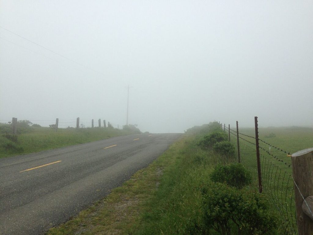 Top of the climb, thick in the fog.