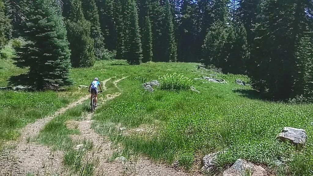 Chris wasn't very excited when I told him this short downhill part didn't mean we were at the lake. I just meant we got to climb some more before we reached it! FUN!!!!!!