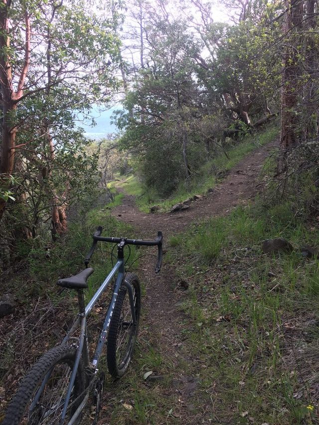 Climbing singletrack on Roxy Ann.