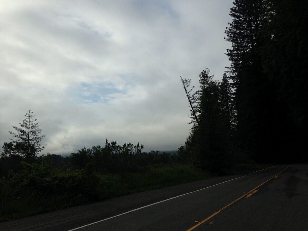Hints of blue sky near the Eel River.