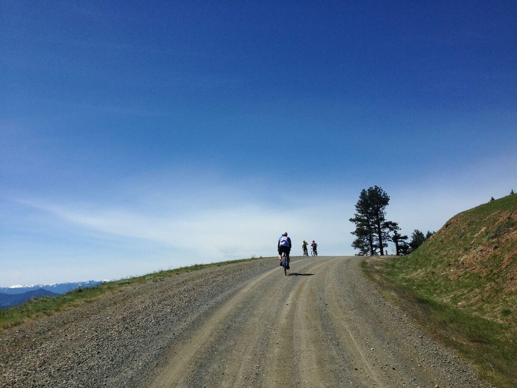 Gravel, trees, sky.