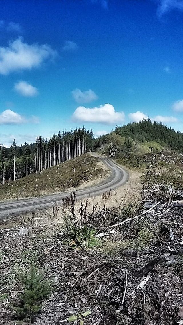 The clearcut about halfway up The Ogre.