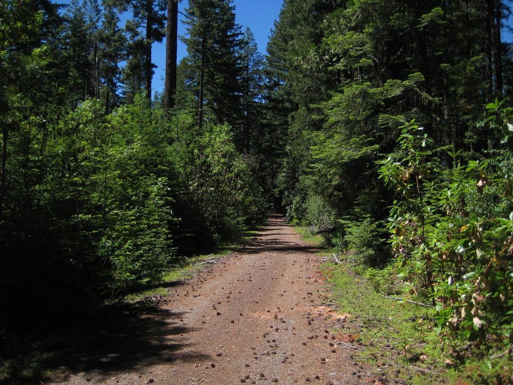 Top of the climb. Fun road.