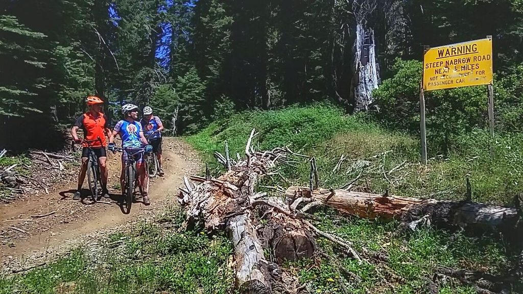 And, see!? We aren't the only ones that think the road is a little bumpy.