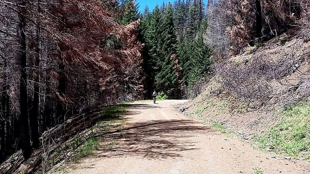 Like I said, one minute annihilation, the next an untouched stretch of land.