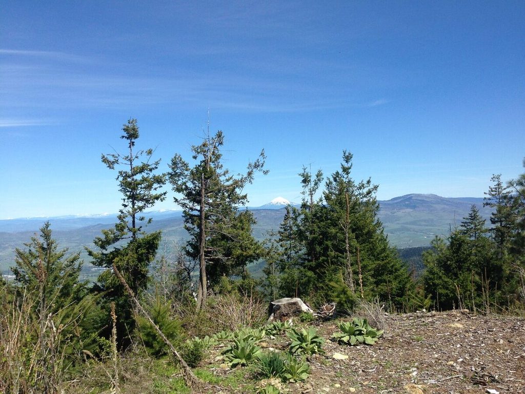 Mount Mcloughlin in the distance.
