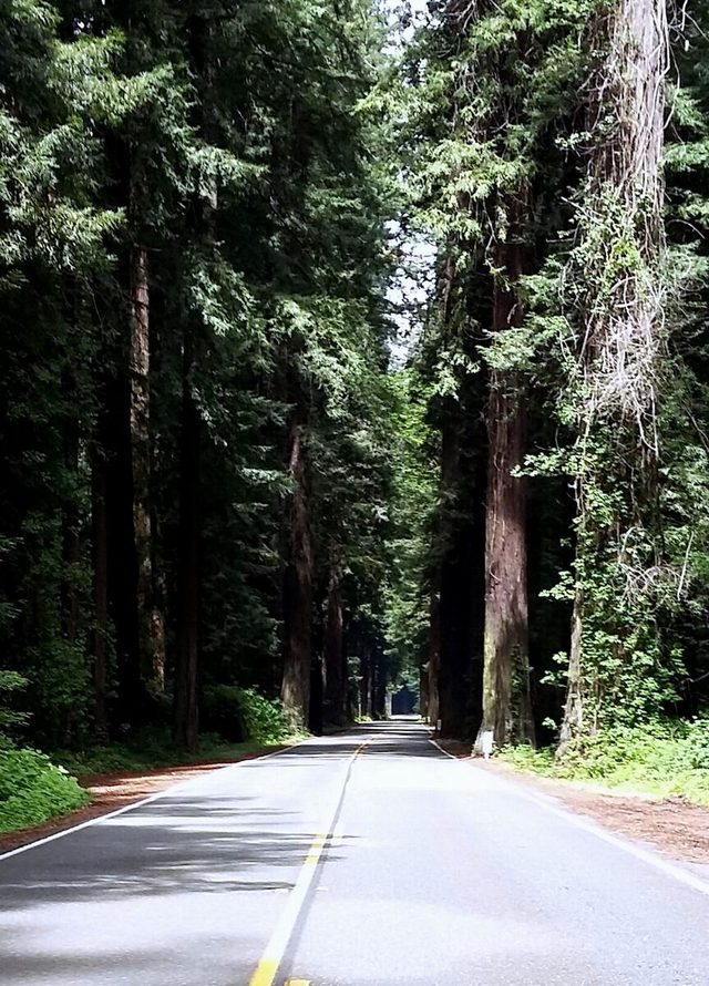 7 Avenue