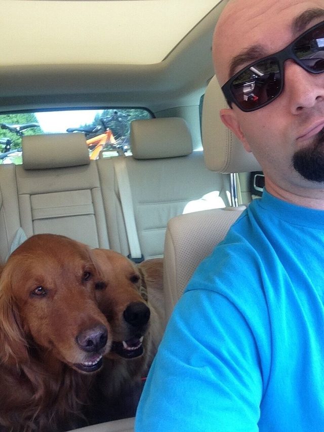 Dogs were also sufficiently tired from wrestling with cousin dogs.