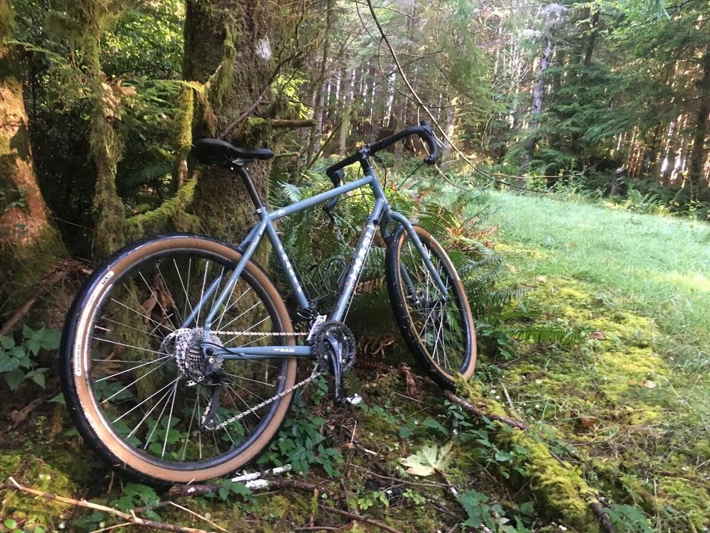 Exploring old logging roads outside of Lincoln City.