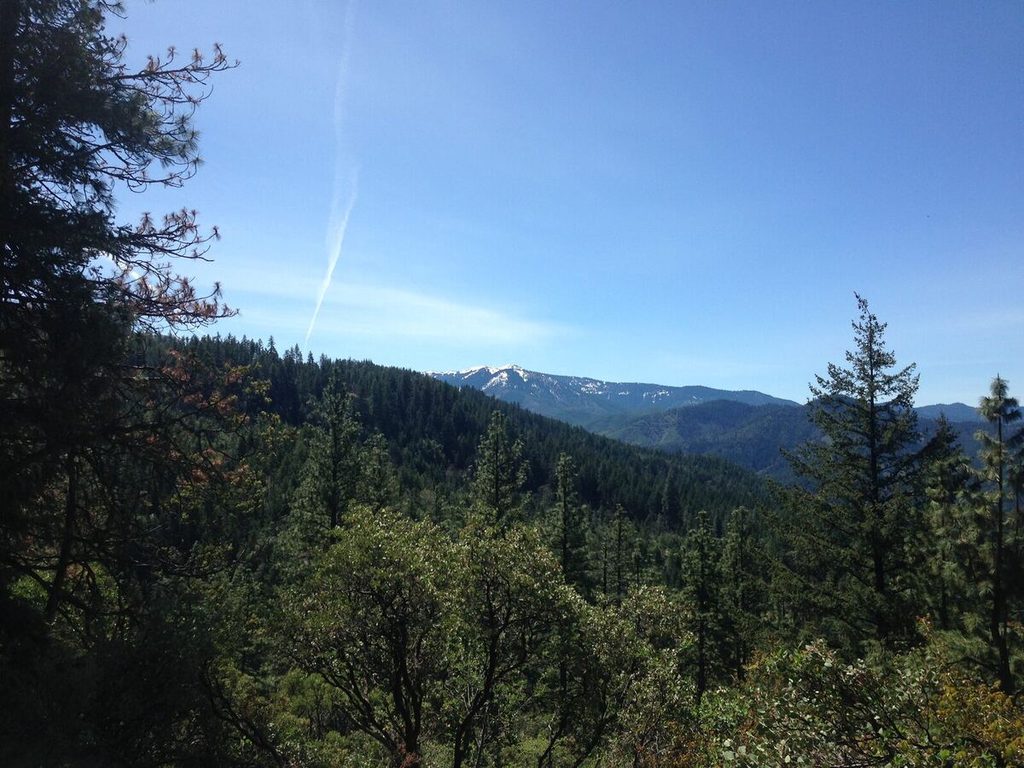 More nice views.