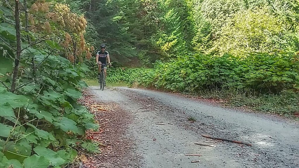 A rider on a gravel road lined with green shrubs and trees.
