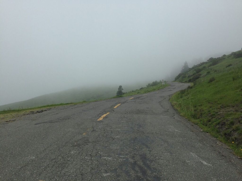 Up into the fog.