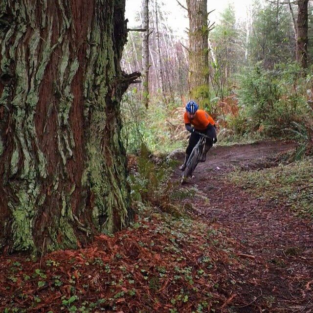 Singletrack rippin in Mckinleyville.