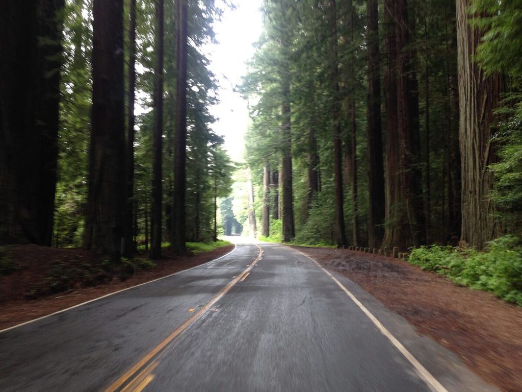 A flat stretch of road along the Avenue.