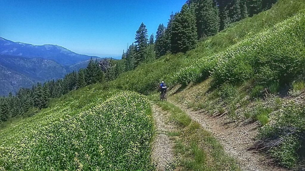 I didn't get any shots of the sketchy part of the road. I was too busy hanging on. I did get this one of Dan right before he hit all the ruts.