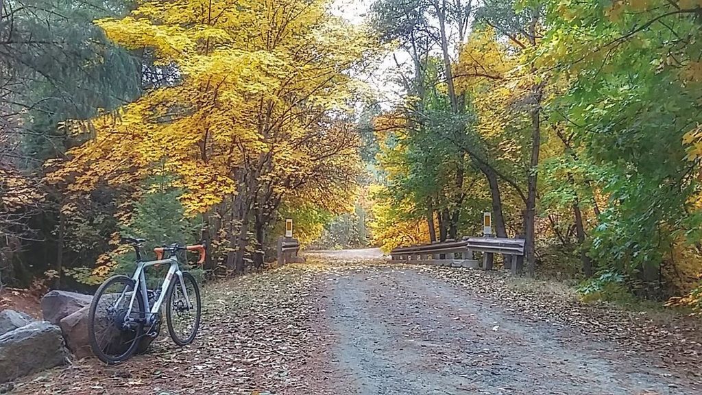 The Autumn colors were absolutely gorgeous and although I ended up taking a wrong turn and making the loop bigger than expected, I was totally ok with that! Another area I'm anxious to get back to and explore further.