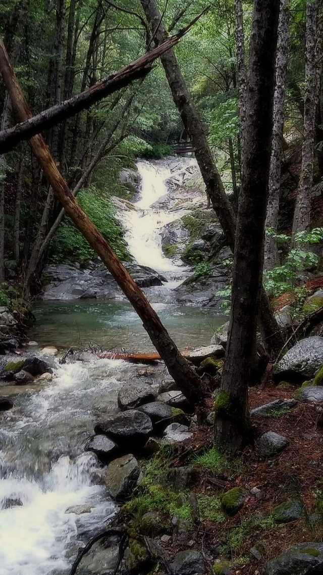 Medium Falls