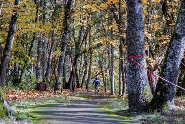 A lone racer on a leaf-covered forest road, course tape strung between the trees.