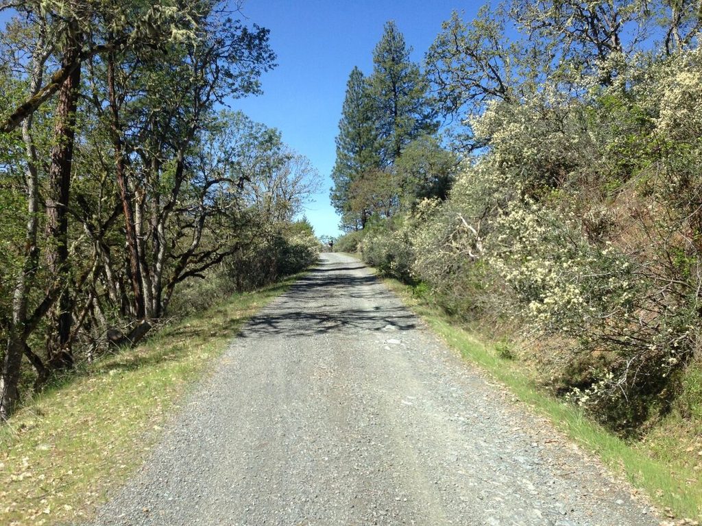 Five miles of this.