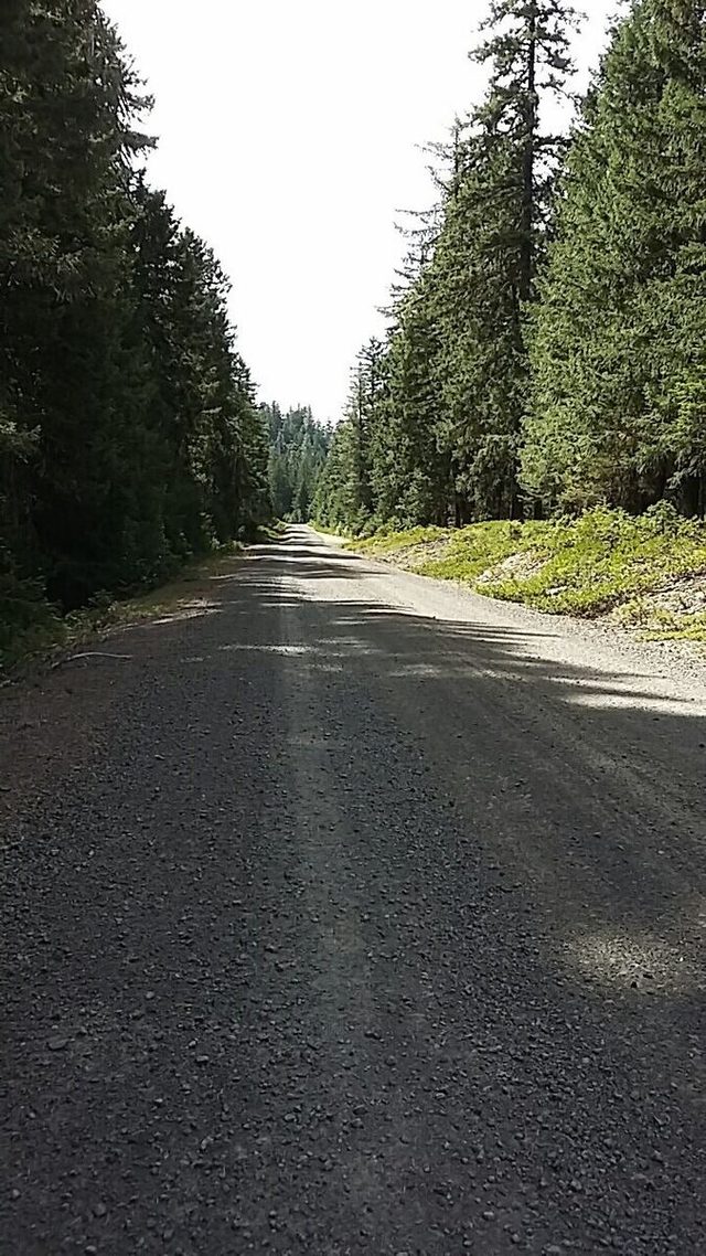 Fortunately, the road back down was better than expected and I was able to hit 18-20 mph most of the way.
