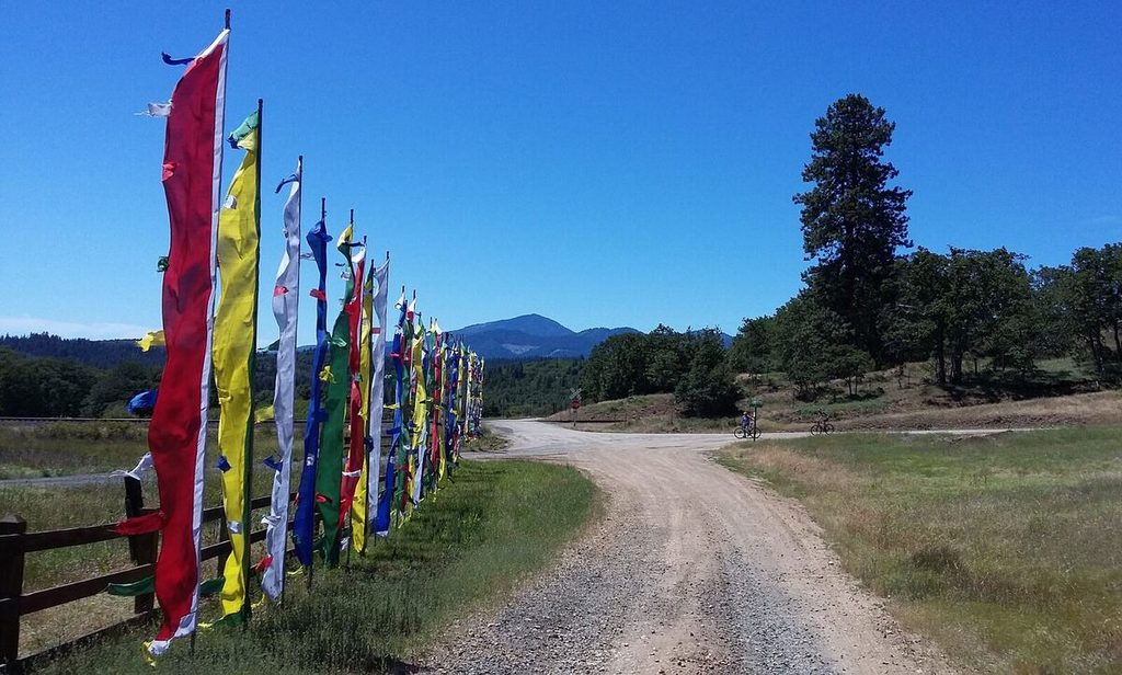 11 Flags