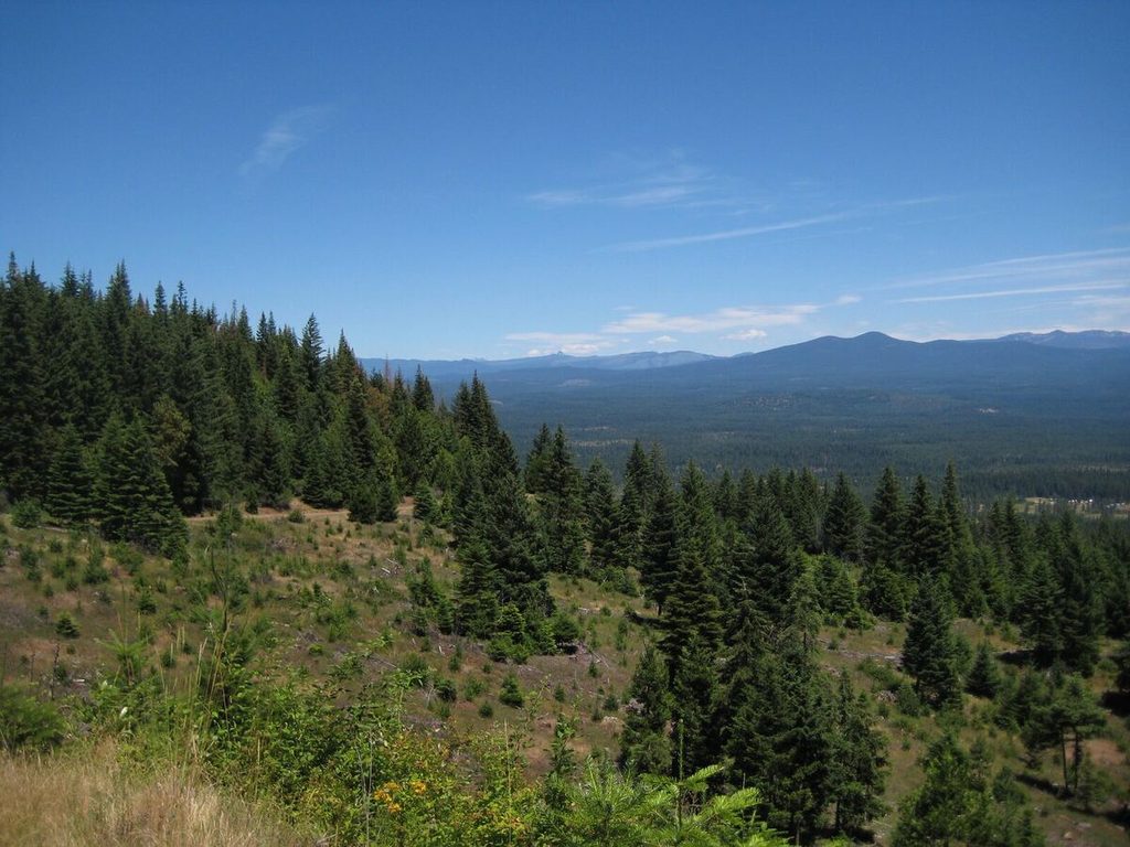Mountains.
