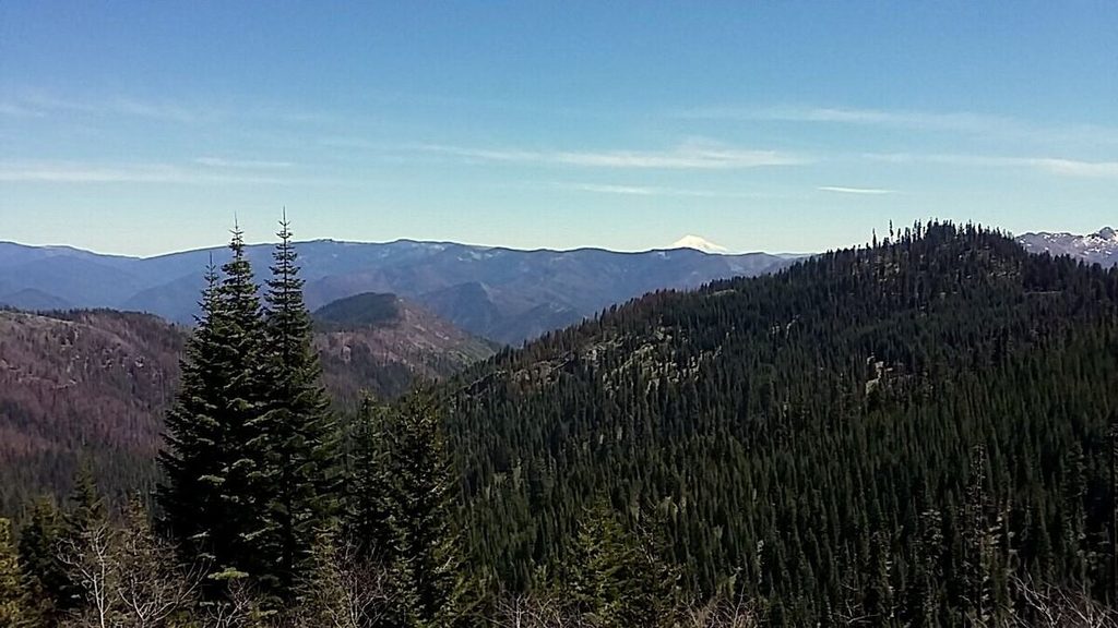 Hard to see, but I had to throw in a shot of Mt. Shasta. Just to the left of the near mountain and just above the distant ridgeline.