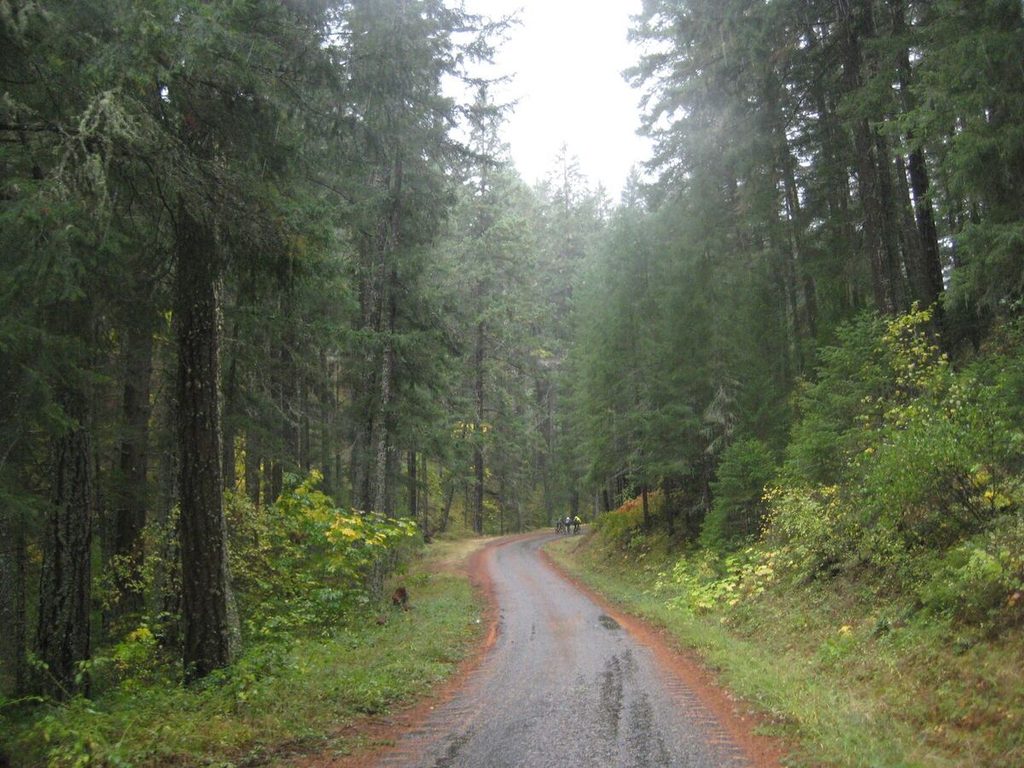 It's a nice road.