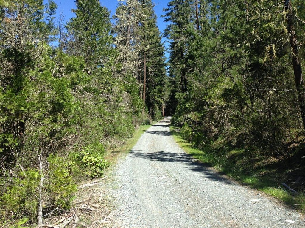 Looking up the first bit of the Anderson Creek south-side climb out of the Little Applegate Valley. It gets a little steep.