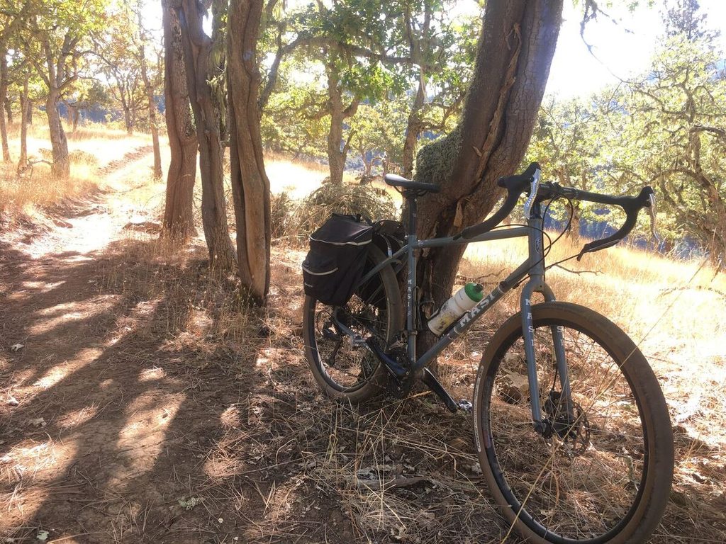 The Masi Giramondo with a frame bag, leaning against an oak on a dry trail