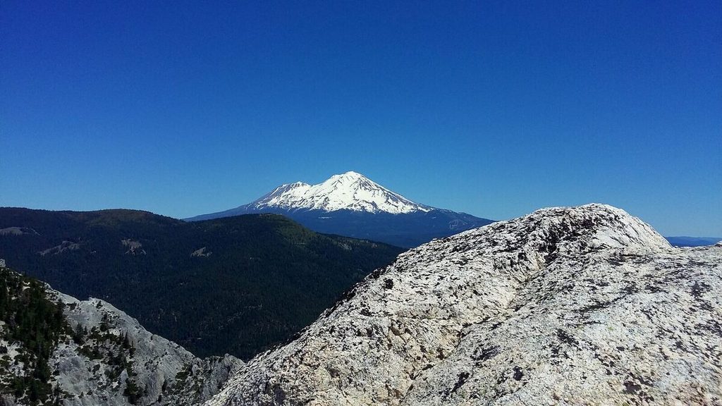 13 Shasta