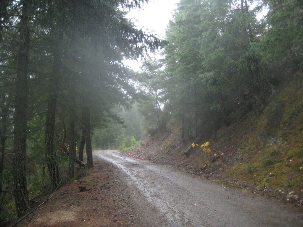 Star Gulch and its bad pavement.