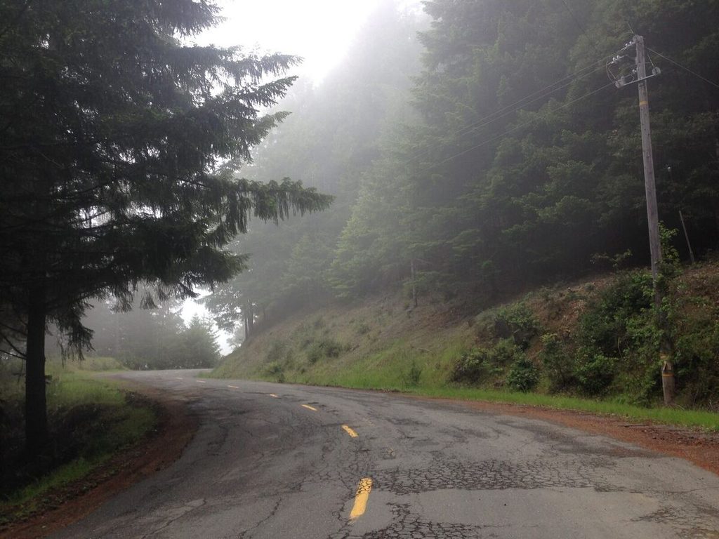 Foggy winding road.