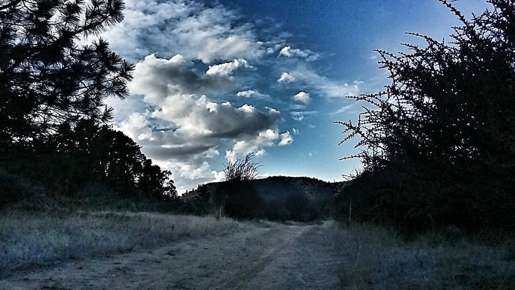 The clouds were forming in the afternoon and by the time it was dark, the first raindrops in months were falling.