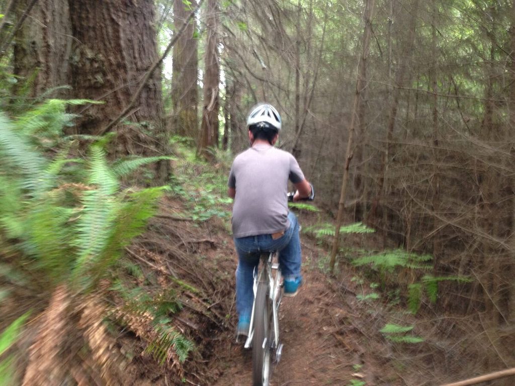 Action shot.