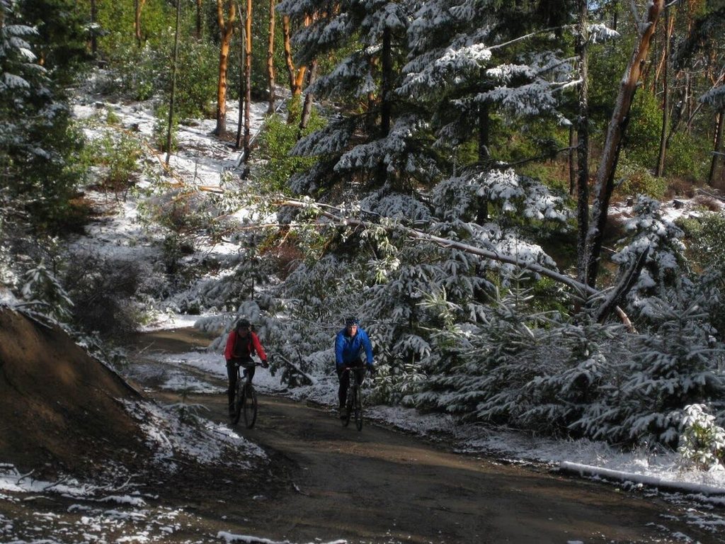 Two riders on a dirt road through snow-dusted forest.
