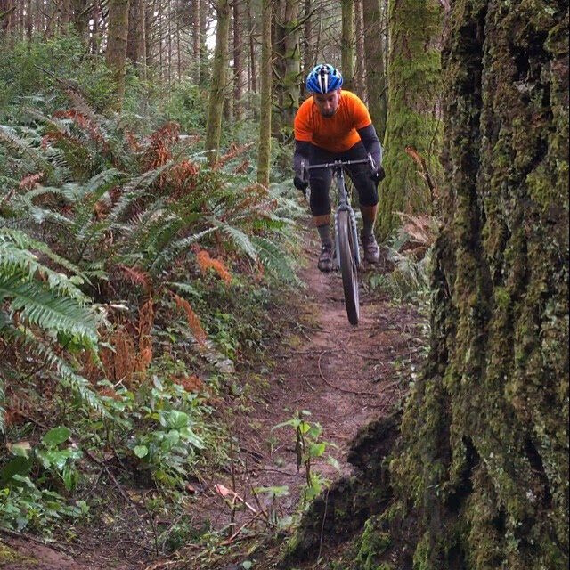 A rider in an orange jersey on a Masi Giramondo, coming down a forest singletrack between ferns